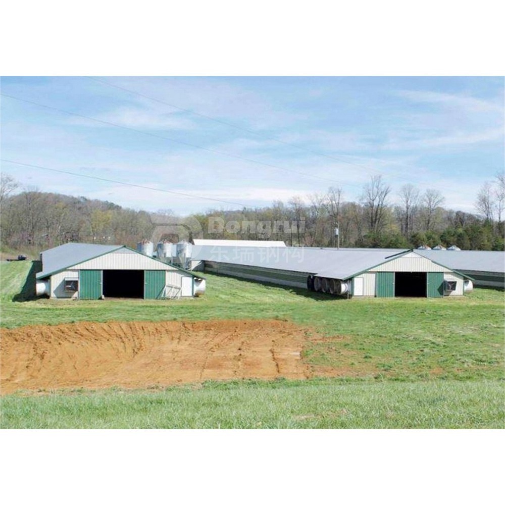 wide span steel structure building prefabricated steel roofing truss poultry house