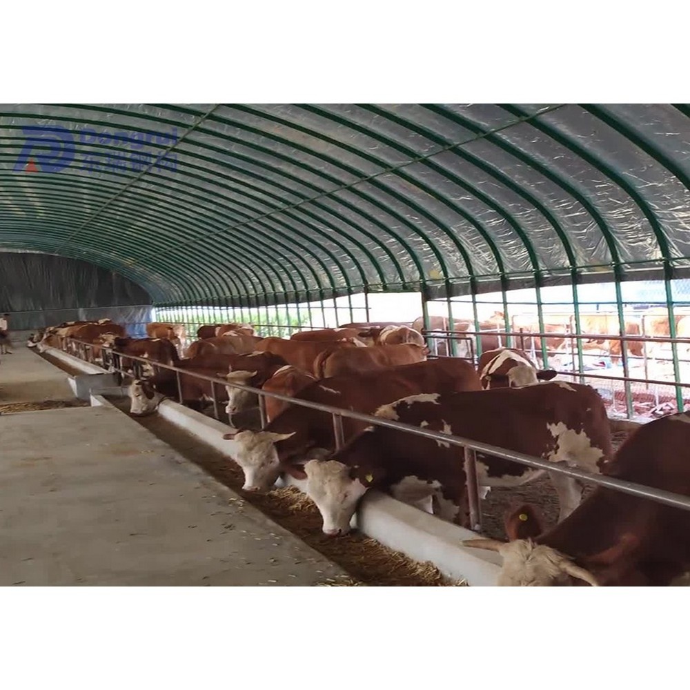 steel frame structure prefabricated cottage controlled poultry cattle farms shed for sale