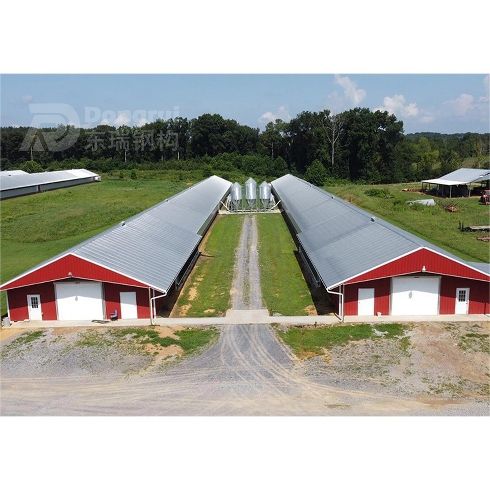 cantilever steel structure frame chicken poultry house metal buildings for 11000 chickens