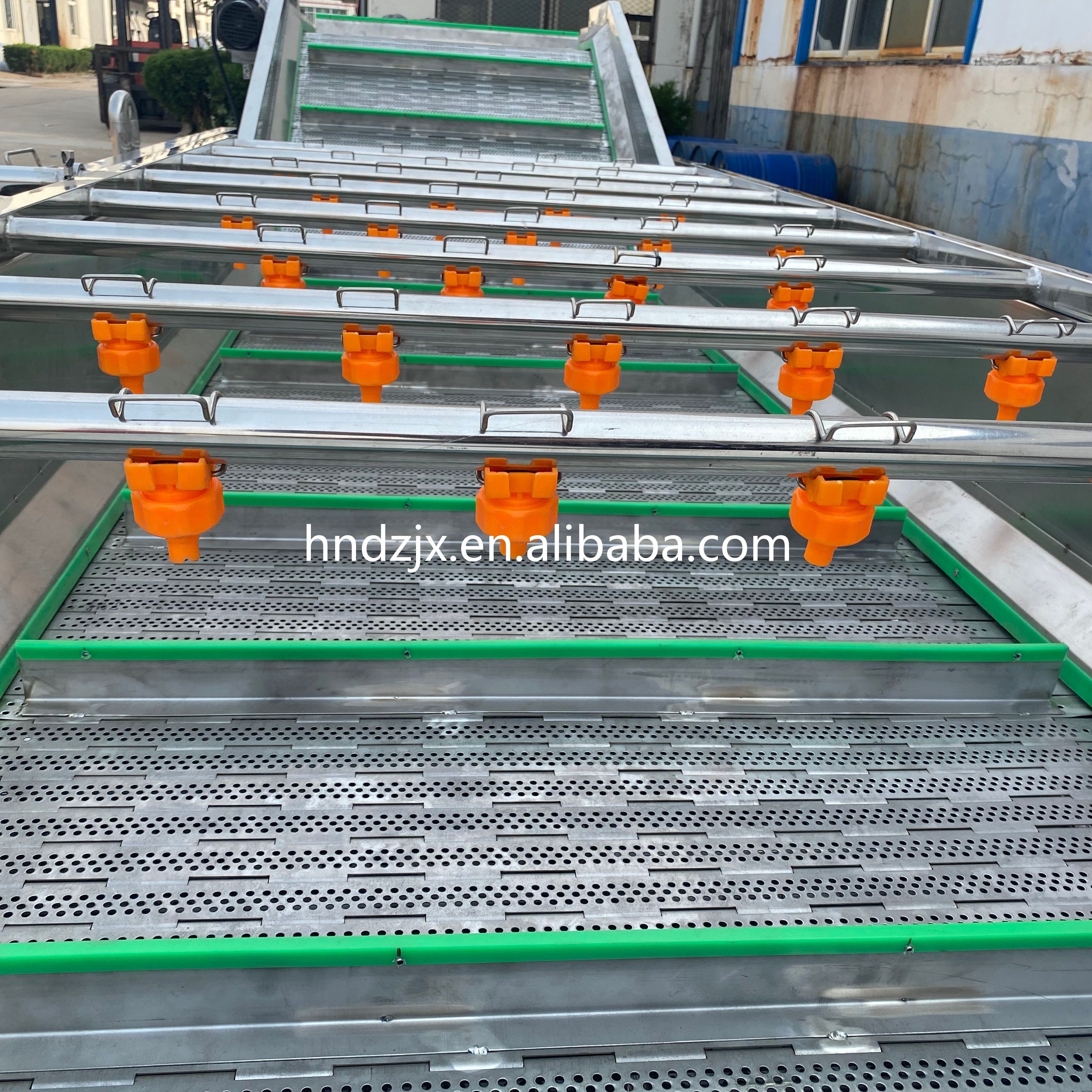 DZJX Hydroxyl Fruit And Vegetable Processing Line Cleaning Drying Sorting Waxing Machine Citrus Fruit Washing Machine