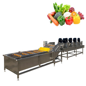 DZJX Hydroxyl Fruit And Vegetable Processing Line Cleaning Drying Sorting Waxing Machine Citrus Fruit Washing Machine