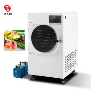 DZJX 1-12kg/24hour Commercial Lyophilizer Freeze Dry Machine mini freeze dryer for home /lab dried fruit food household