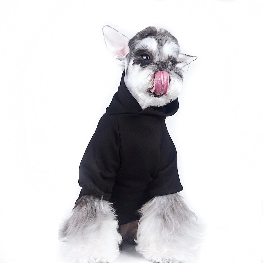 Wholesale Designer Dog Clothing Teddy Bear XS-2XL Yorkshire Hoodies Matching Dog And Owner Clothes