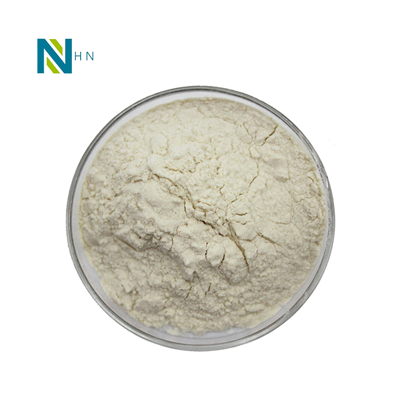 Factory supply 80% apple polyphenol natural instant apple fruit extract green apple powder