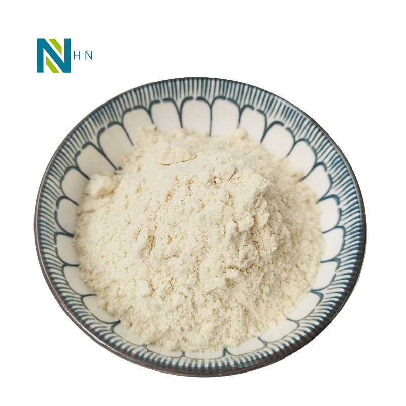 Factory bulk price apple extract  powder apple phloridzin powder