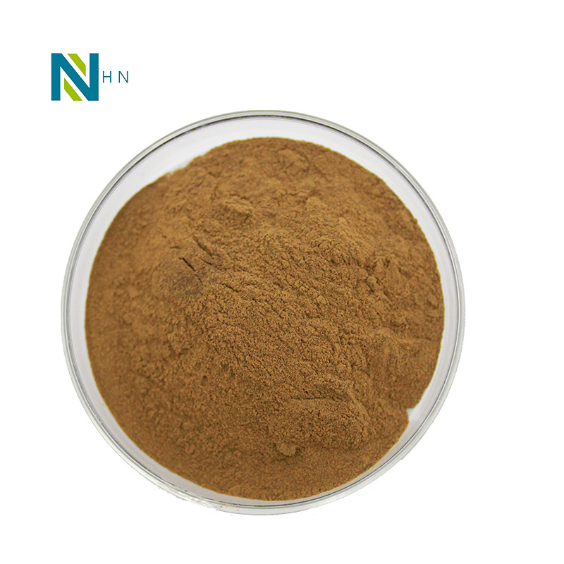 Functional mushroom extract powder tea tree mushroom polysaccharides tea tree mushroom extract powder