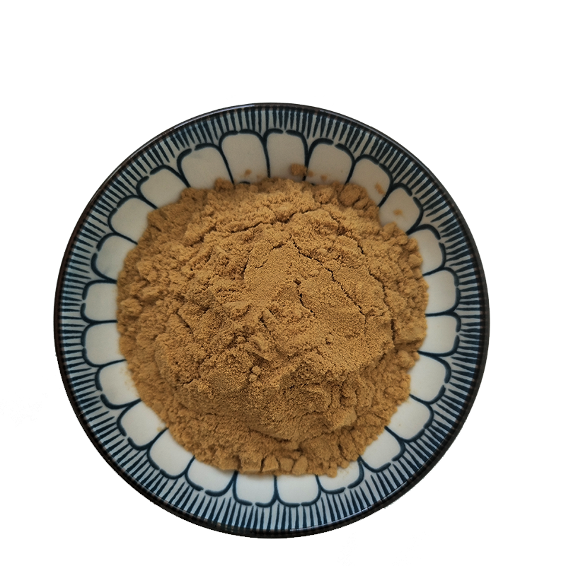 Factory supply 80% apple polyphenol natural instant apple fruit extract green apple powder