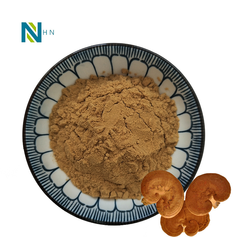 Ganoderma lucidum powder lingzhi powder ganoderma reishi mushroom powder