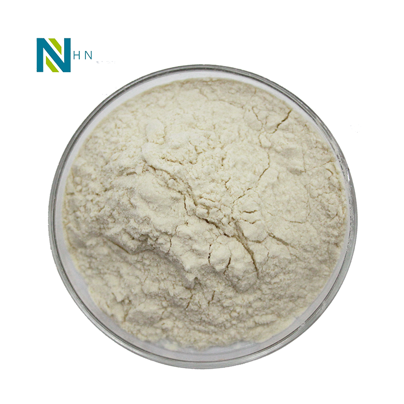 Factory supply 80% apple polyphenol natural instant apple fruit extract green apple powder