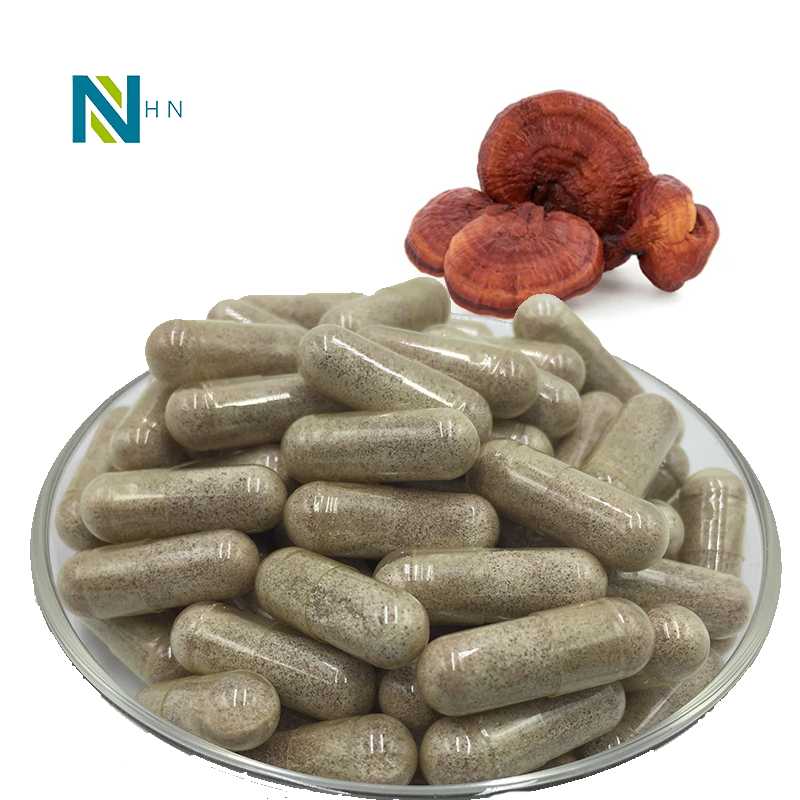 OEM bulk price reishi mushroom capsules ganoderma lucidum capsules