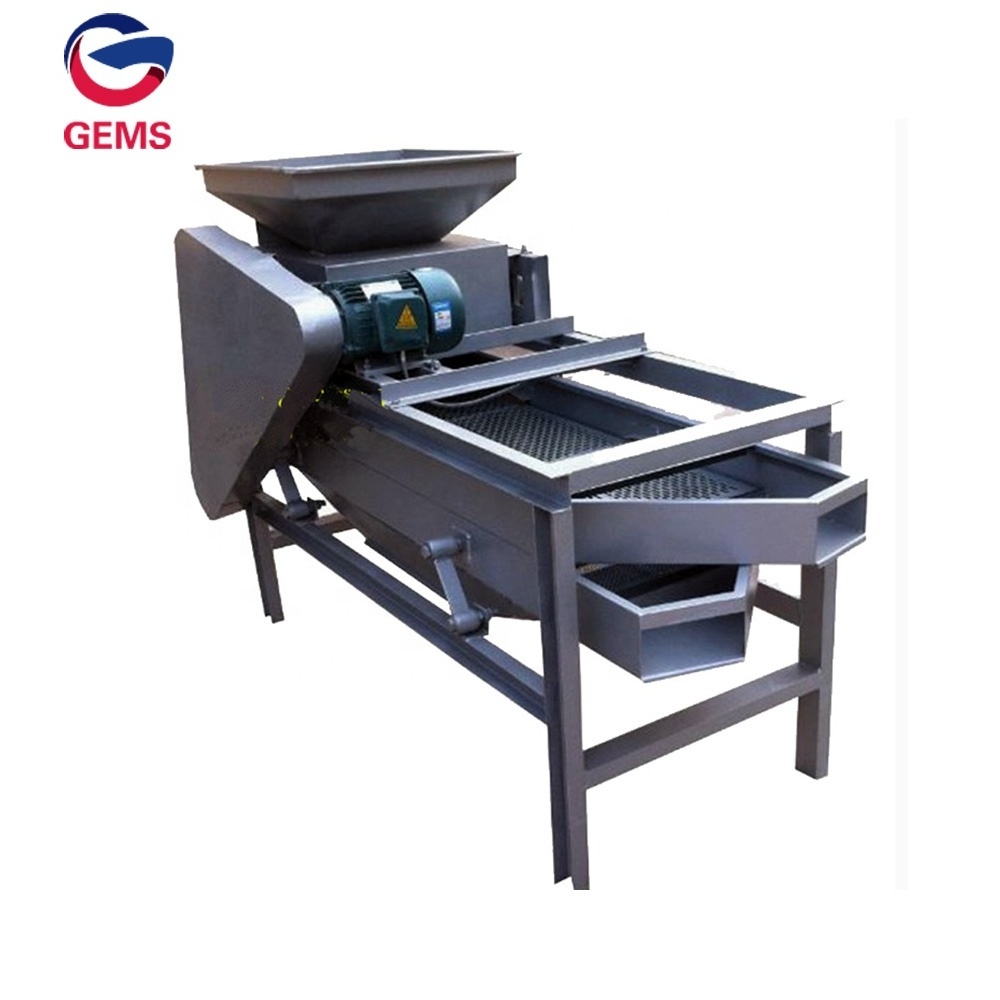 High Output Black Walnut Hulling Machine Walnut Cracking Machine Walnut Shelling Machine