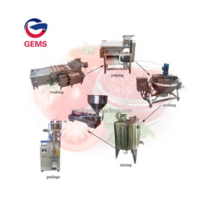 Automatic Ketchup Machine Ketchup Processing Machine Tomato Ketchup Making Machine Fruit Wooden Case Customized GEMS 2500 CN;HEN