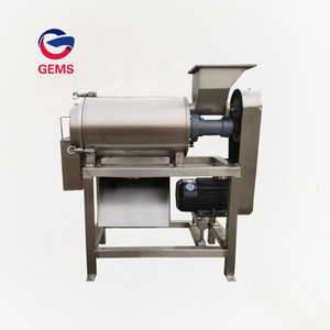 500kg/h Custard Apple Pulp Machine Small Scale Apple Pulper Apple Puree Making Machine