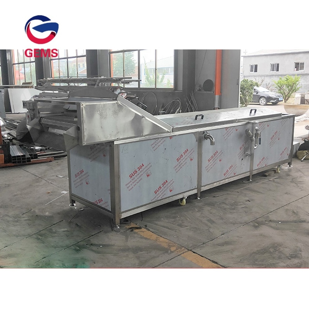 Electric Radish Blanching Machine Spinach Continuous Steaming Blanching Machine