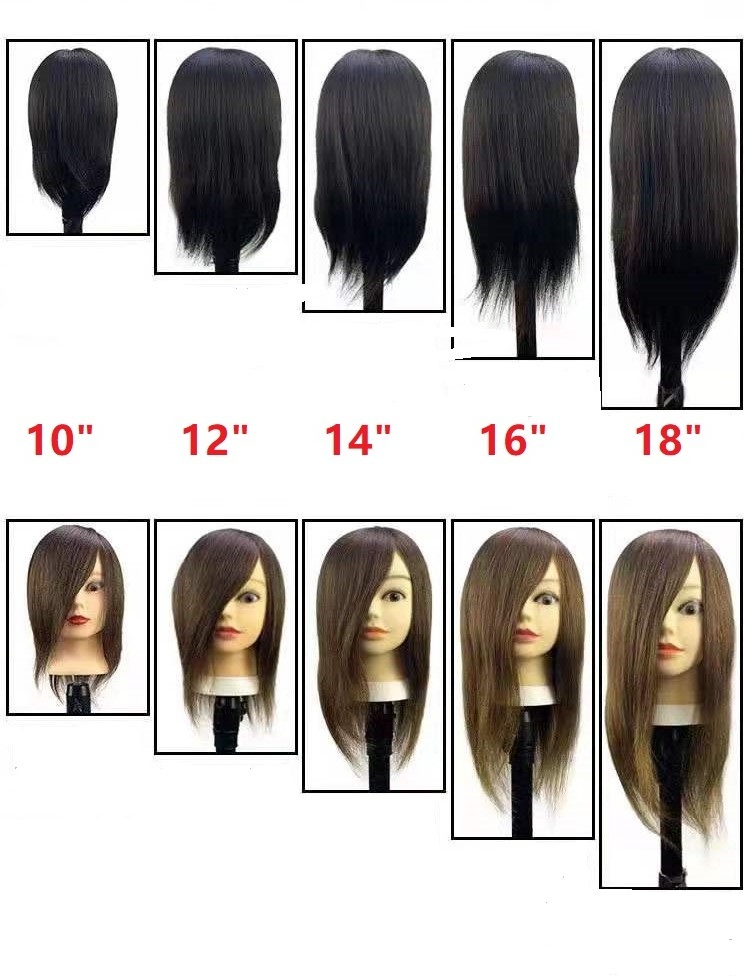 100% Human Hair Mannequin Head For Hairdressers , Practice Female Mannequin Head For training