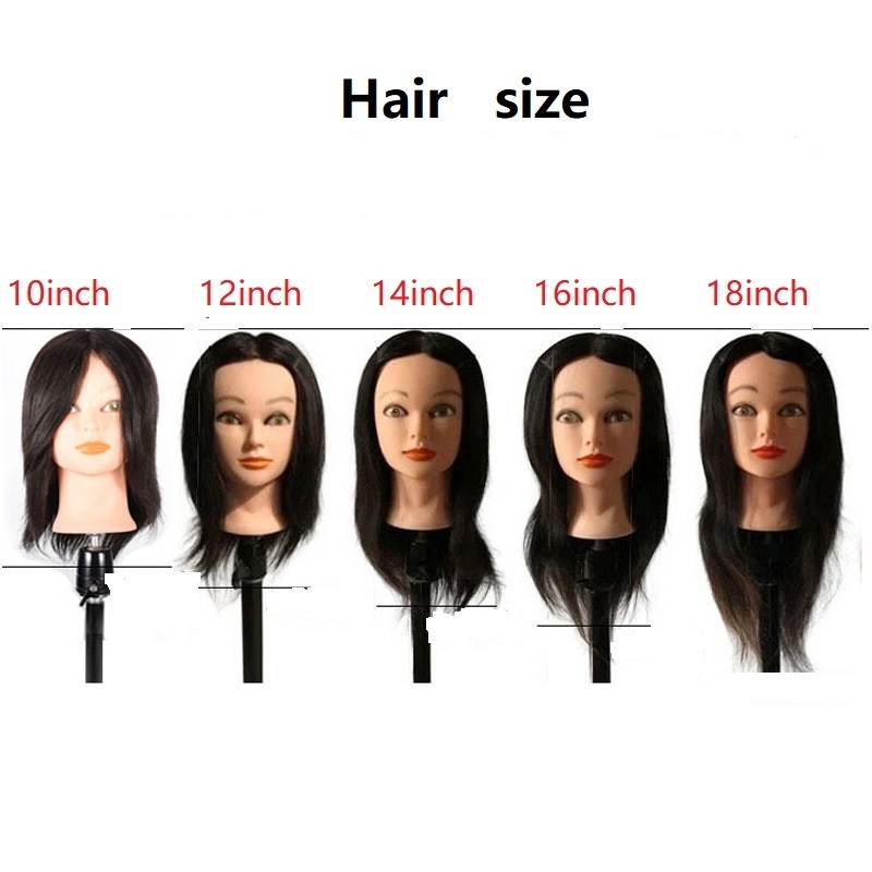 100% Human Hair Mannequin Head For Hairdressers , Practice Female Mannequin Head For training