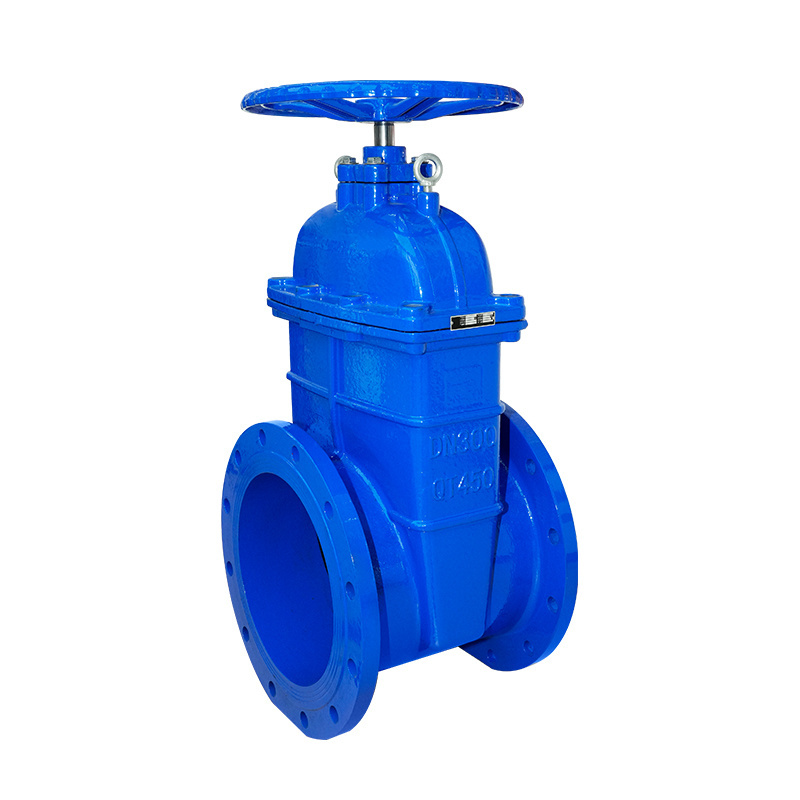 Cast steel flange gate valve american standard rising stem asme gate valve