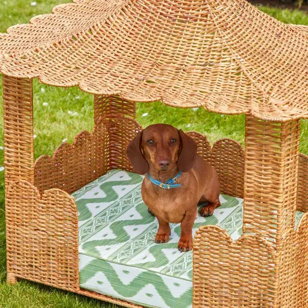 High Quality Rattan Bed For Pet House For Pet Dog Cat Cage Steel Wires OEM Design Customized Variety of Colors from Vietnam