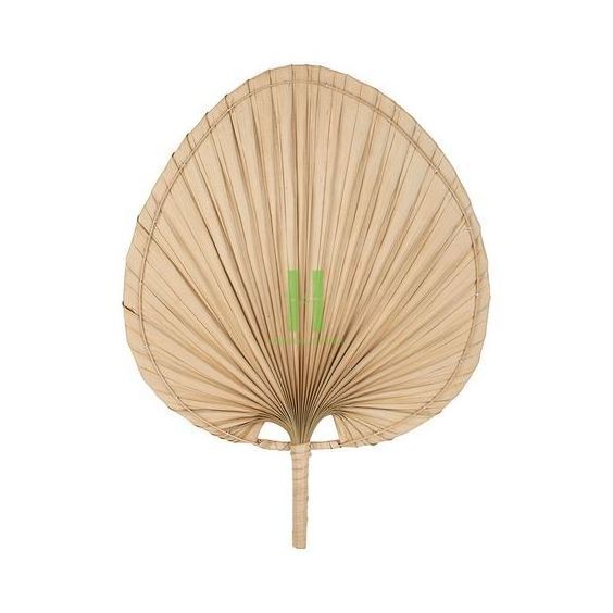 Best Selling Palm Leaf Hand Fan Wall Decor  Room Living Or Bedroom  OEM Customized Vietnam Handmade Factory Directly