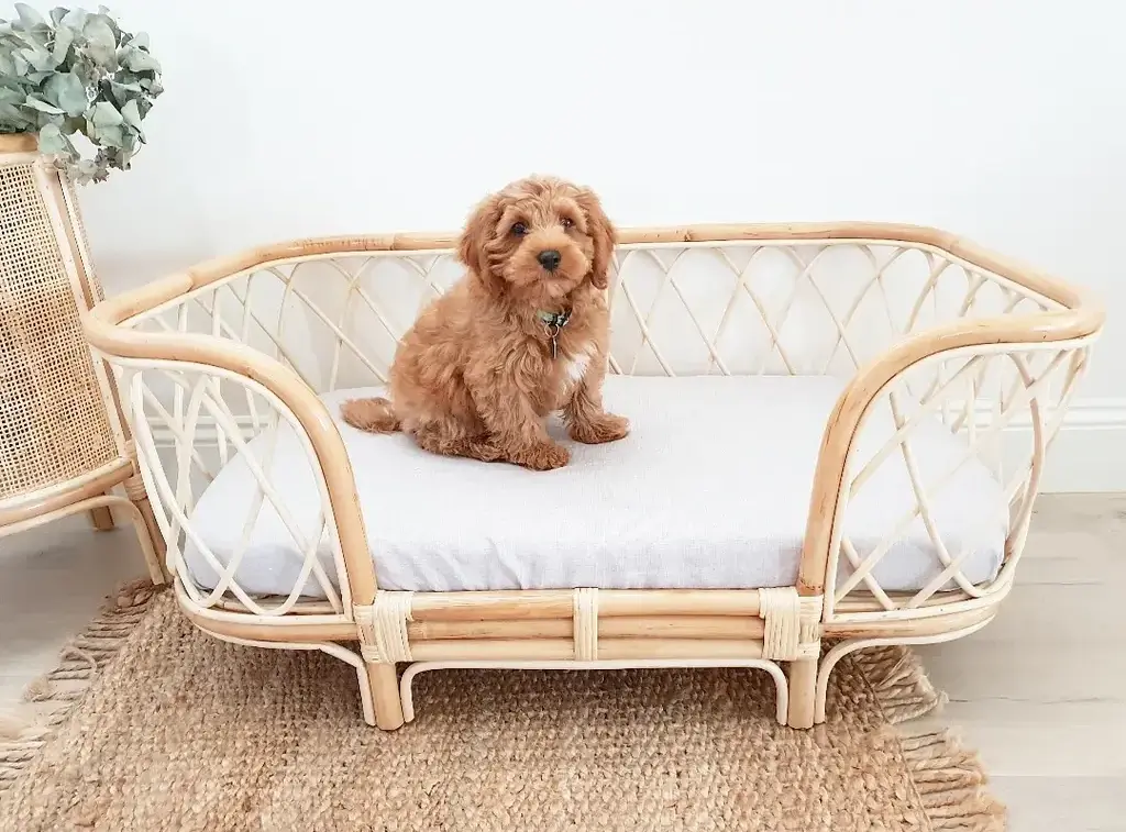 Natural Rattan Pet Beds With Soft Cushion For Cat And Dog Rattan Pet Bed Dog Beds OEM Designs Customized Handmade in Vietnam