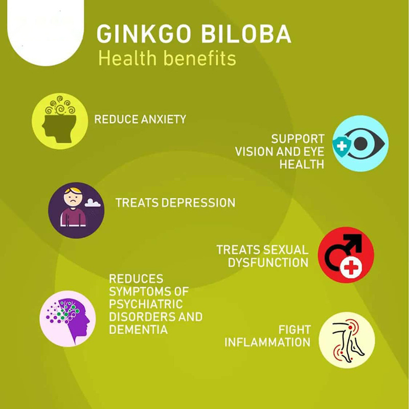 Hot Sale Natural Ginkgo Biloba Leaves Extract Powder Supplement Ginko Biloba Capsules