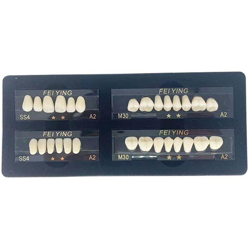 False Teeth Dental Composite Teeth Acrylic Resin Denture Teeth, Synthetic Polymer Denture Tooth, Teeth Practice Materials