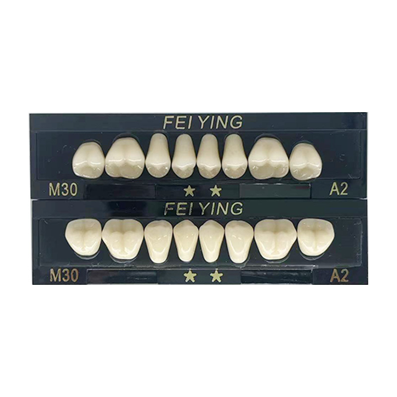 False Teeth Dental Composite Teeth Acrylic Resin Denture Teeth, Synthetic Polymer Denture Tooth, Teeth Practice Materials