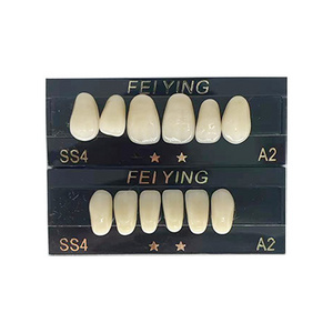 False Teeth Dental Composite Teeth Acrylic Resin Denture Teeth, Synthetic Polymer Denture Tooth, Teeth Practice Materials