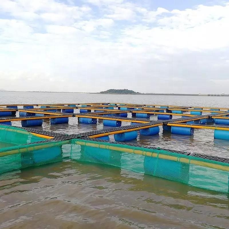 Knotless Sea Fishing Nets Cages Aquaculture Cage for Mariculture Crab Shrimp Sea Cucumber Farming HDPE Fish Farming