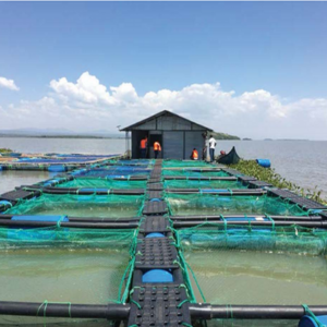 Knotless Sea Fishing Nets Cages Aquaculture Cage for Mariculture Crab Shrimp Sea Cucumber Farming HDPE Fish Farming