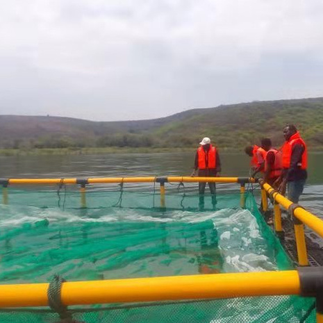 Floating Aquaculture Fish Farming Net Cages hdpe fish floating farming cage culture for fish farming