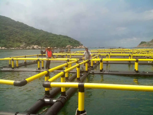 Aquaculture cast lobster fish crab trap trampa para peces scallop lantern HDPE pipe framework floating farm net cage