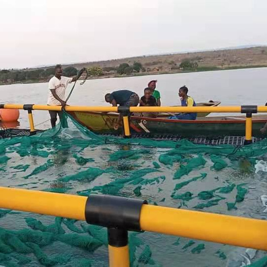 Floating Aquaculture Fish Farming Net Cages hdpe fish floating farming cage culture for fish farming