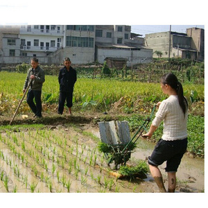 price of manual rice paddy seed transplanter planting machine