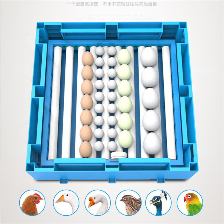 Parrot 180 Egg Incubator 300 Eggs