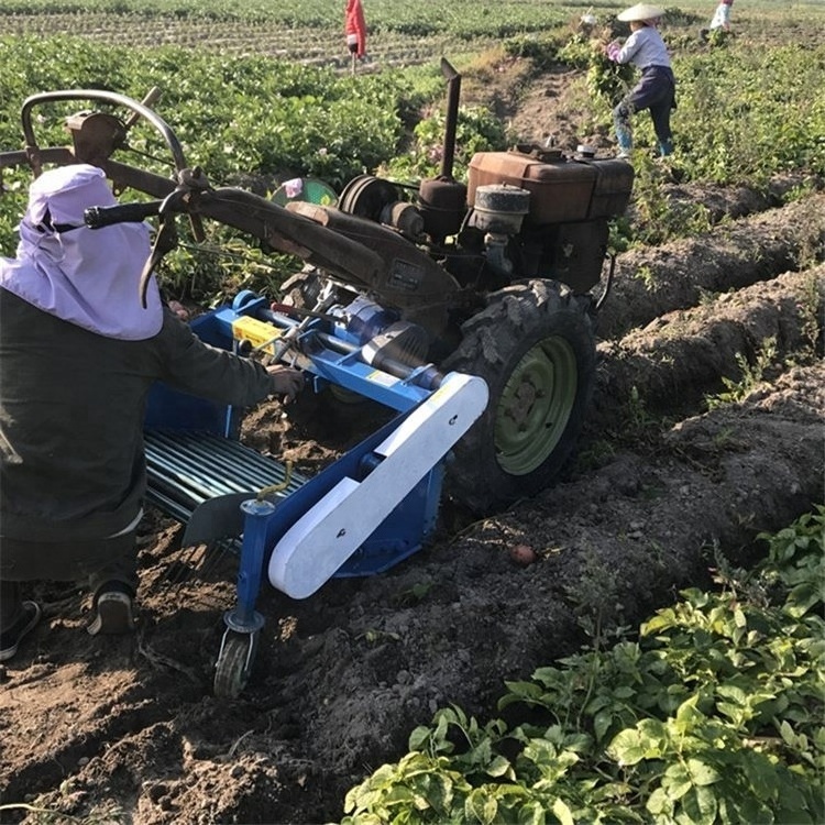 Harvesters for potatoes washing machine after harvest Agricultural Garlic Reaping Machine with great price