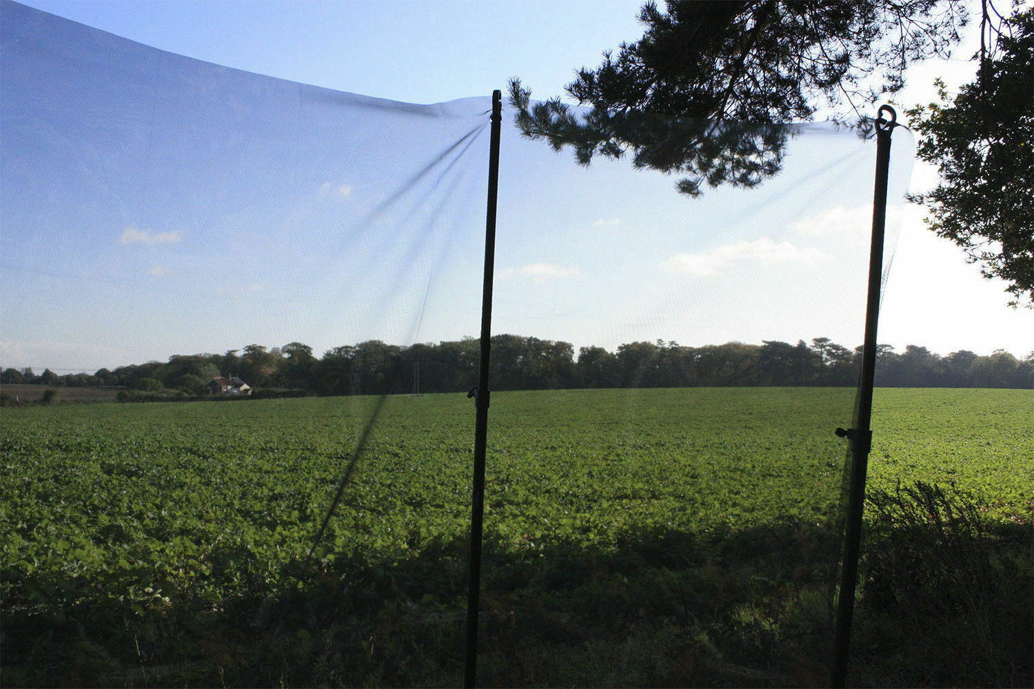 100% polyester fabric 3D Leaf Camouflage Net Easy Storage and Transportation Clearview Camo Net