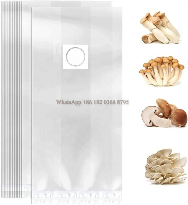 factory price tea tree mushroom pp bag porcini mushroom spawn bags mushroom spawn bags with port