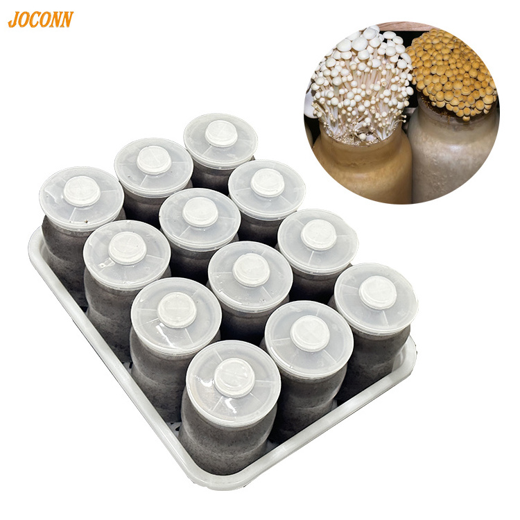 Low Price Enoki Mushrooms Morel Mushrooms Porcini Mushroom  Spawn Bottle Fungus Cultivation Products With High Quality