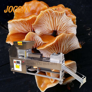 Automatic Square Mushroom Farming Bagging Equipment Porcini Mushroom Bagging Machine Substrate Bagging Equipment For Mushrooms