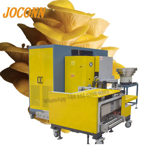 High Efficiency Low Cost Mushroom Farm Bagging Machine Apricot Abalone Mushroom Bagging Machine for mushroom farm