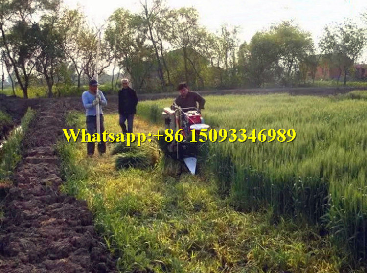 50cm Alfalfa highland barley cutting bundling machine harvester/oat Sorghum Sesame straw harvesting binder machine for sale