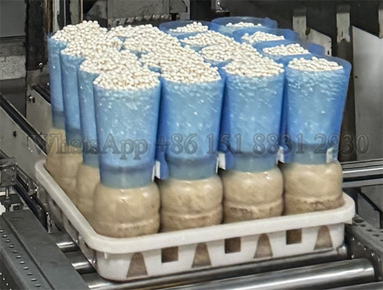 1400 ML mushroom cultivation bottle filling machine mushroom spawn bottle enoki mushroom bottle