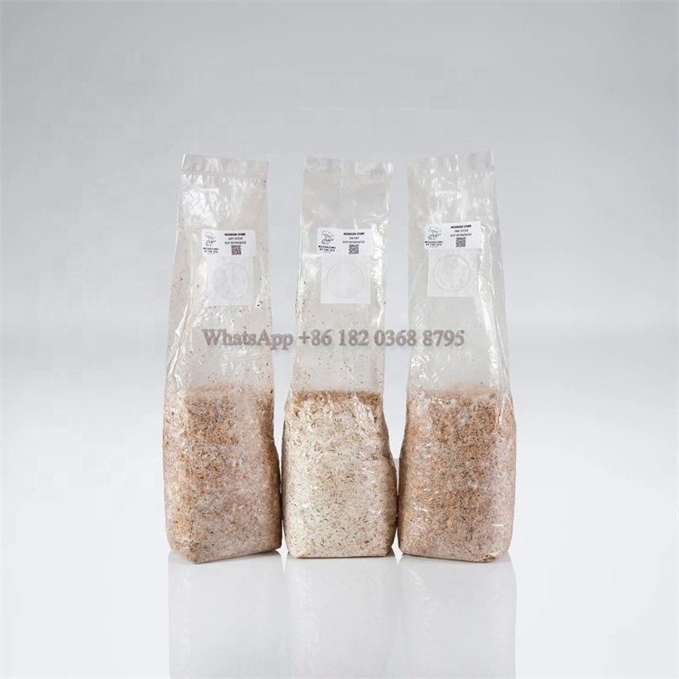 factory price tea tree mushroom pp bag porcini mushroom spawn bags mushroom spawn bags with port