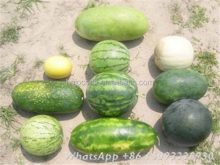 pumpkin melon seed collecting machine/watermelon  seed collector/watemelon seeds harvester for farm use