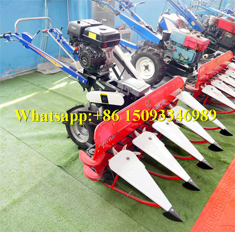 50cm Alfalfa highland barley cutting bundling machine harvester/oat Sorghum Sesame straw harvesting binder machine for sale