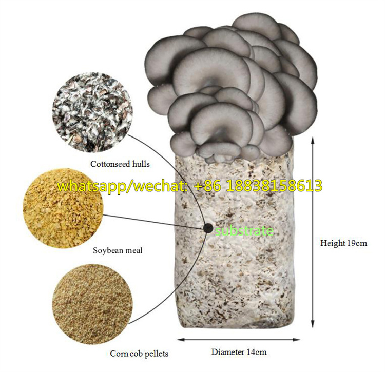 2022 Automatic Mushroom Growing Bag Filling machine Mushroom Spawn Cultivation Bag Packing Machine Round Bag Filler