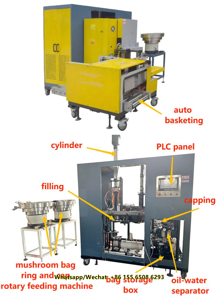 High Efficiency Low Cost Mushroom Farm Bagging Machine Apricot Abalone Mushroom Bagging Machine for mushroom farm