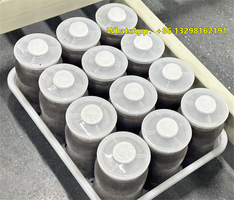 Low Price Enoki Mushrooms Morel Mushrooms Porcini Mushroom  Spawn Bottle Fungus Cultivation Products With High Quality