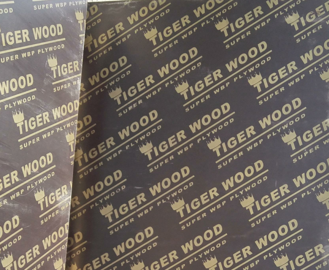 Chinese factory good price flexible plywood film faced plywood